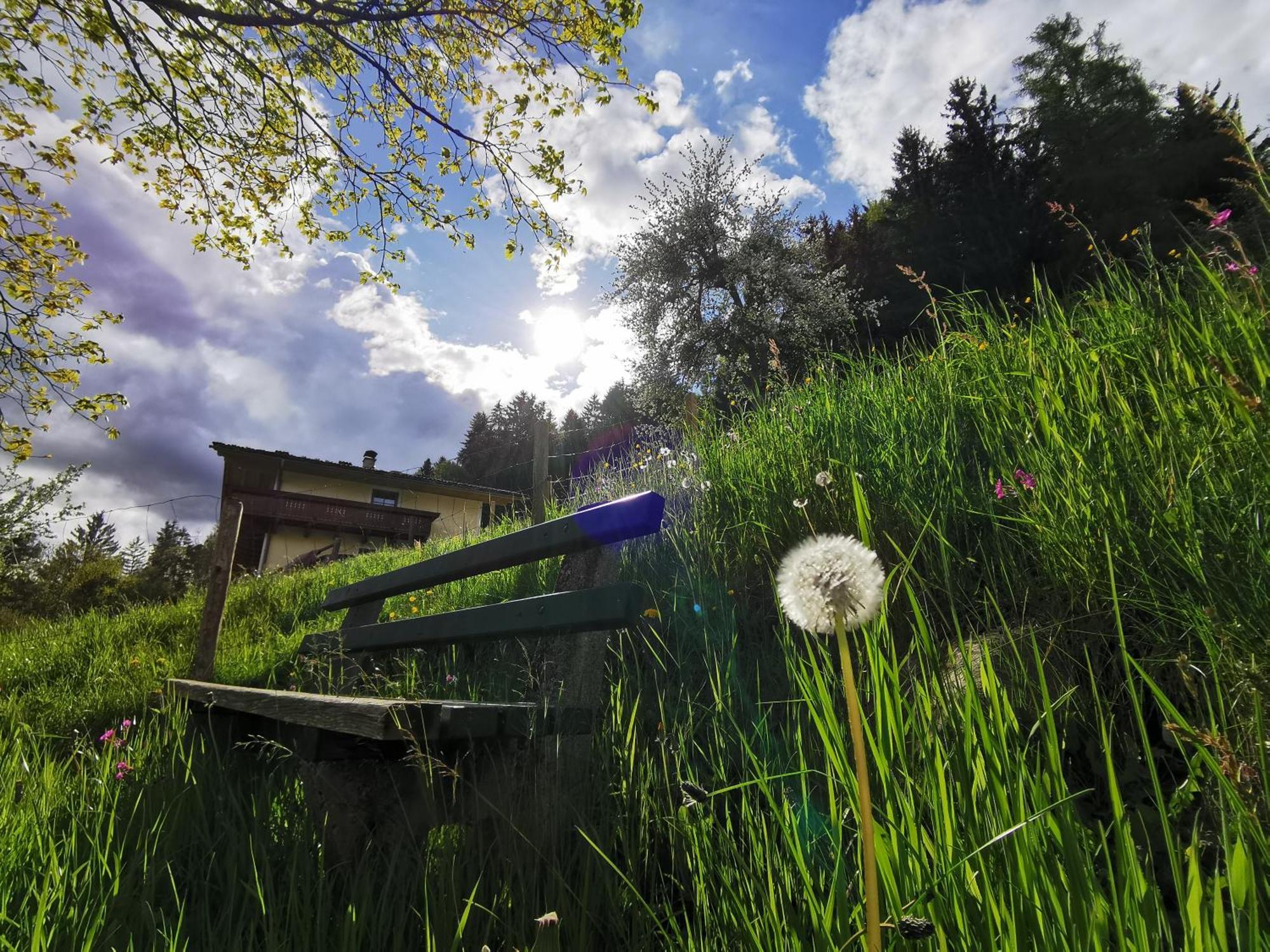 Bruecklerhof Apartment เฮาส์ อิม เอนน์สทาล ภายนอก รูปภาพ